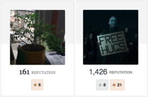 Stack Exchange Profiles: my plant Dave, and Voldemort.